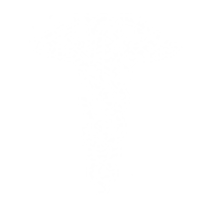 Caduceus